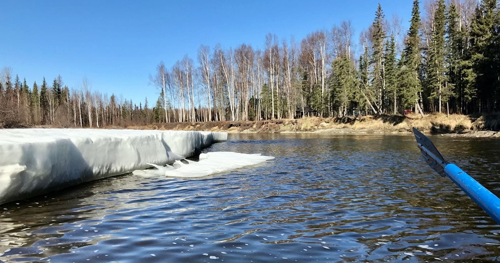 Paddling past spring ice melt and riverbank trees on calm water