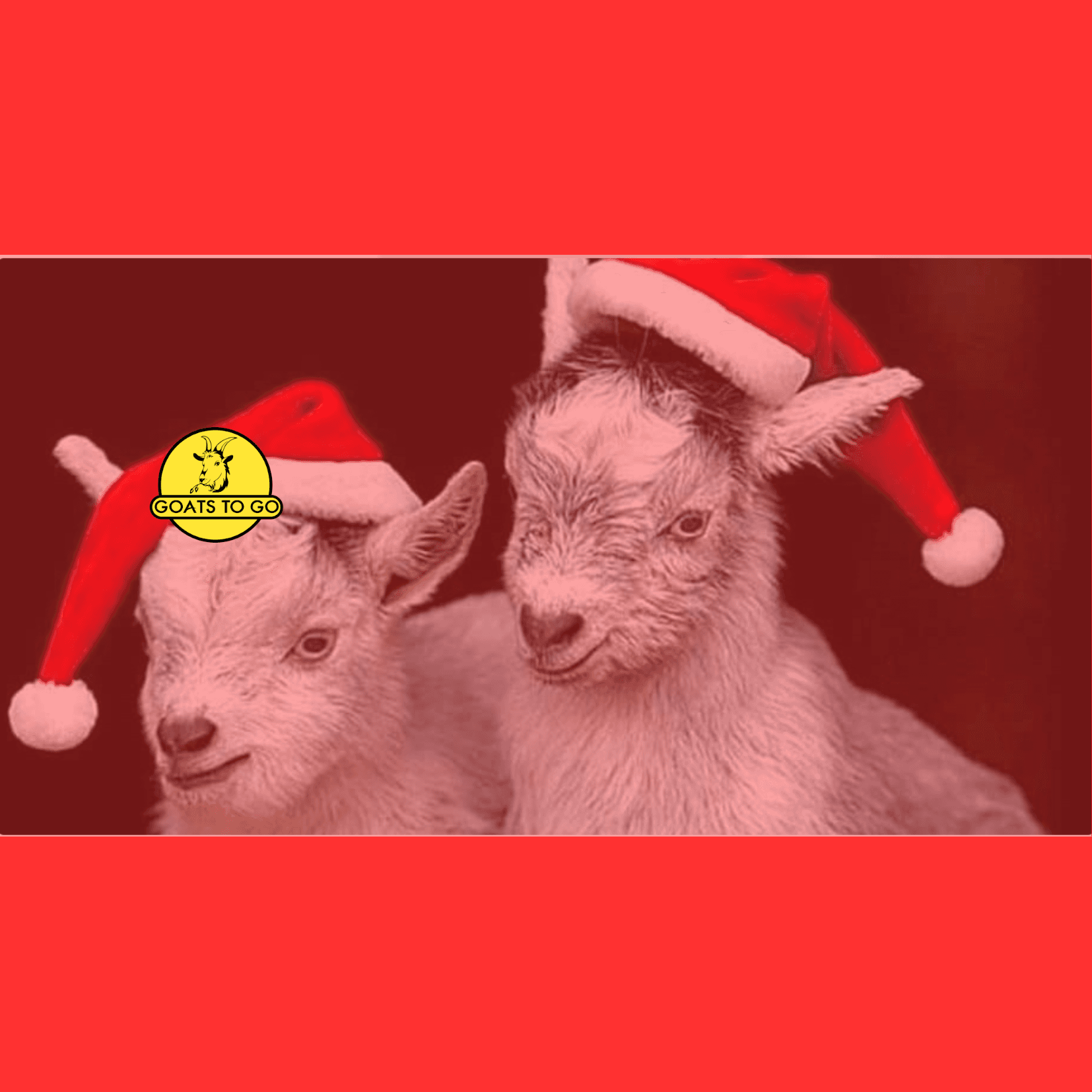 Holiday Family Adventure at North Pole & Santa's Goat Barn