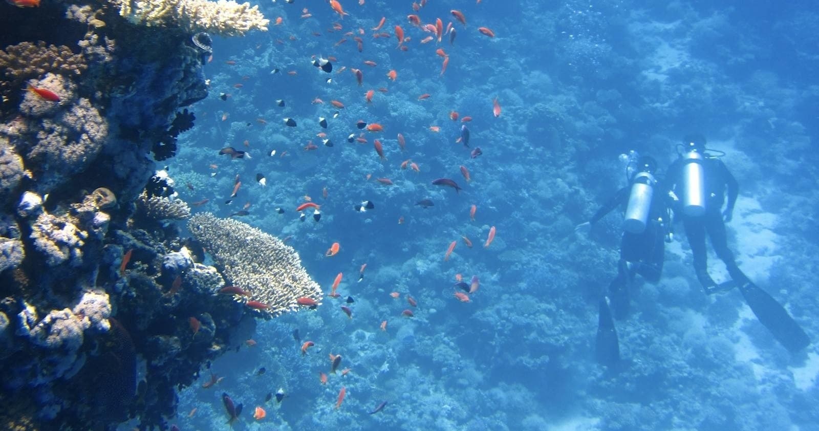 Deep Sea Diving Course at Deep South Scuba