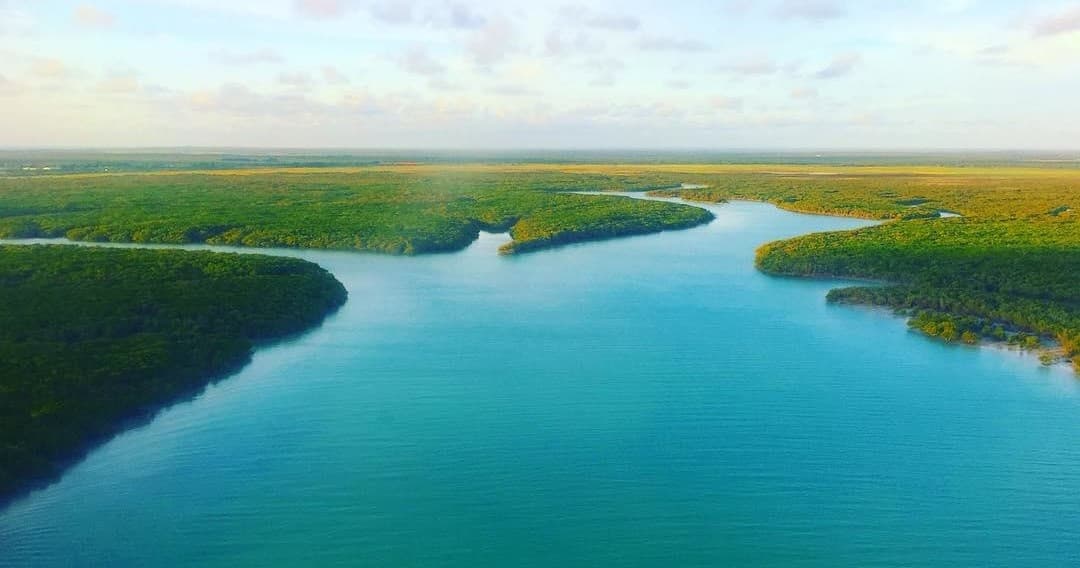 Aerial mangrove and turquoise tidal waterways near Broome