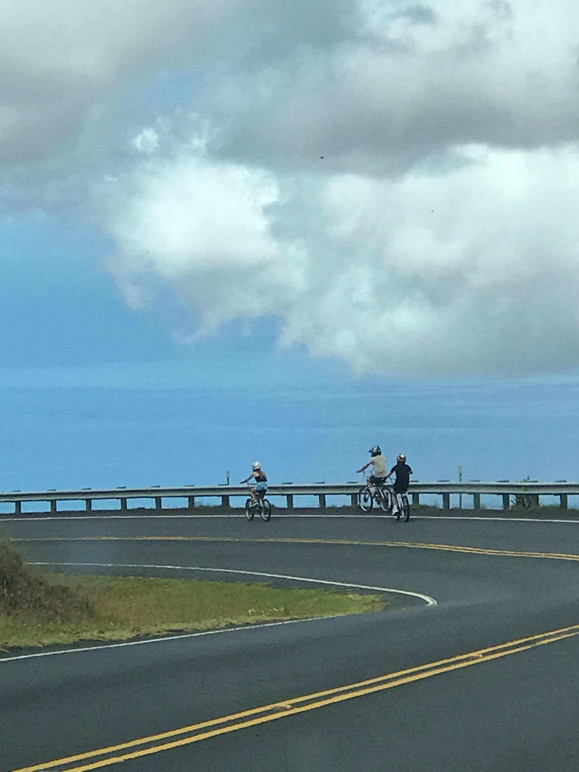 Mountain Biking & Winery Tour with Maui Downhill