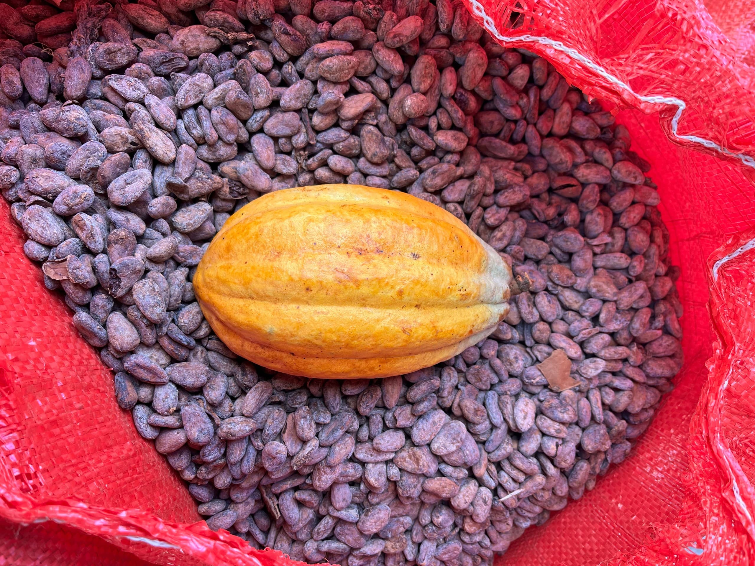 Cakumba x Sin Gusano: London Cacao and Mezcal Tasting at Sorbito photo 4