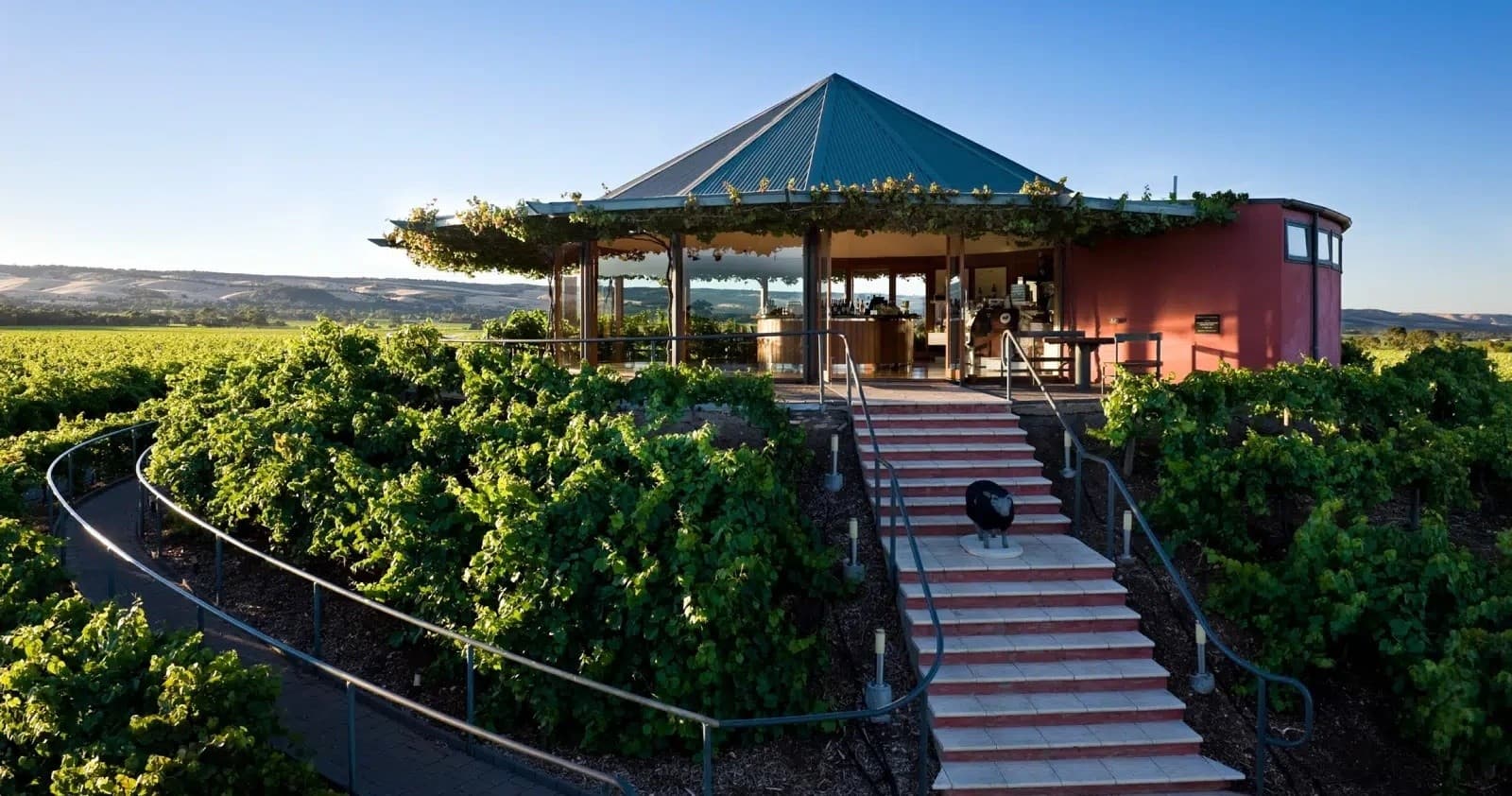 Land Adventures: McLaren Vale Wine Tours – Unwind in South Australia
