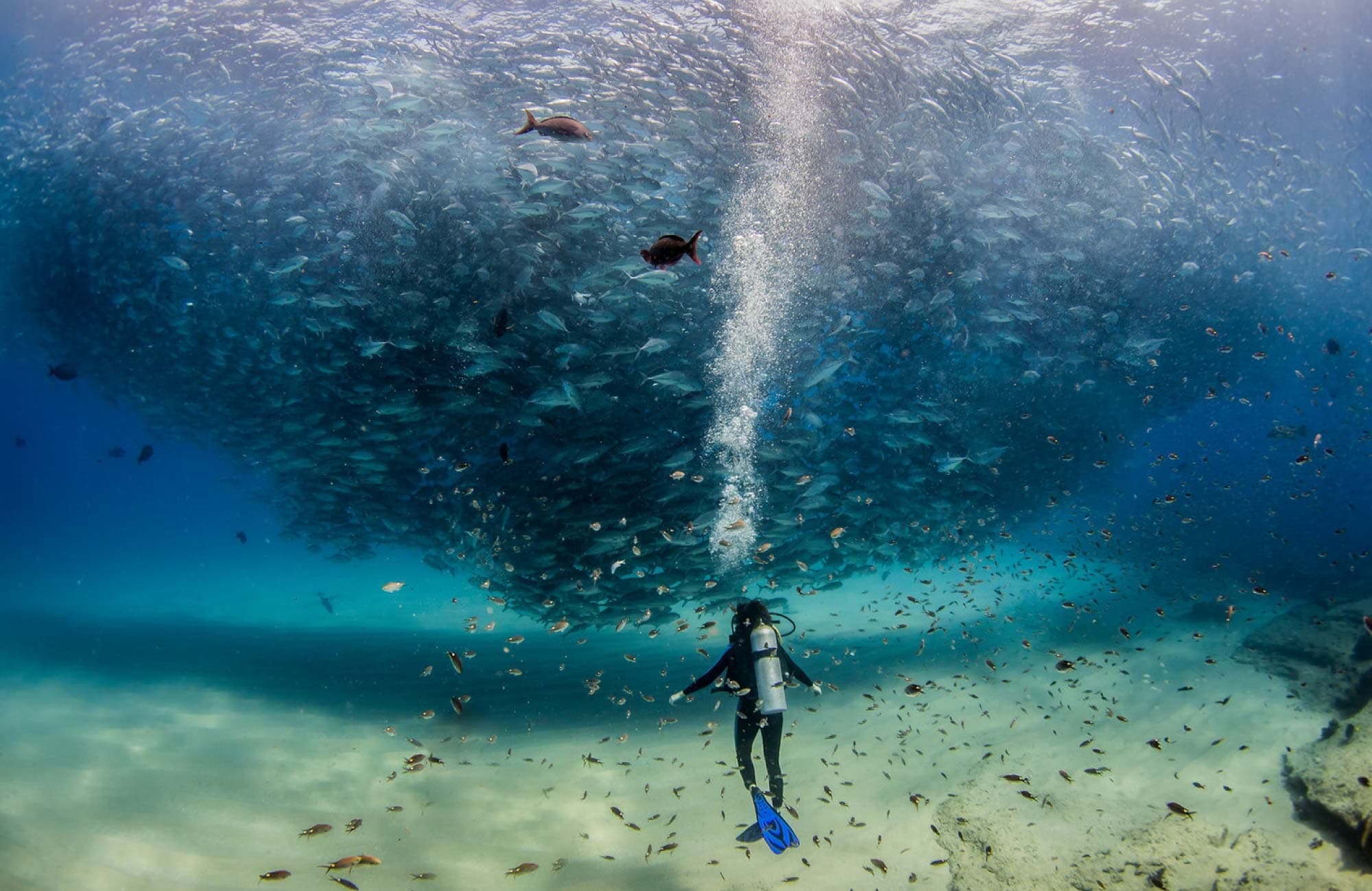 Water Activities & Cabo Day Diving: Unforgettable Reef Encounters