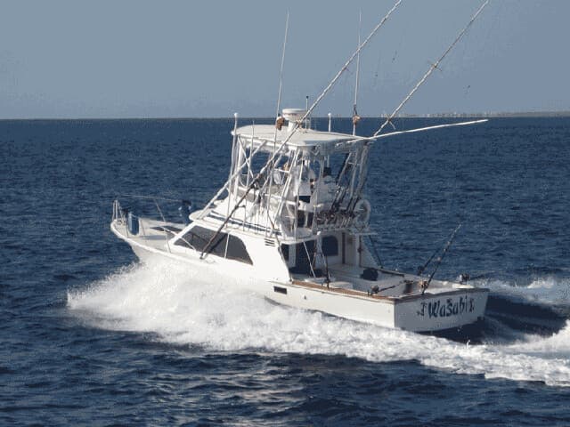 Gulf-Stream Fishing Aboard the 32' Blackfin in Puerto Aventuras