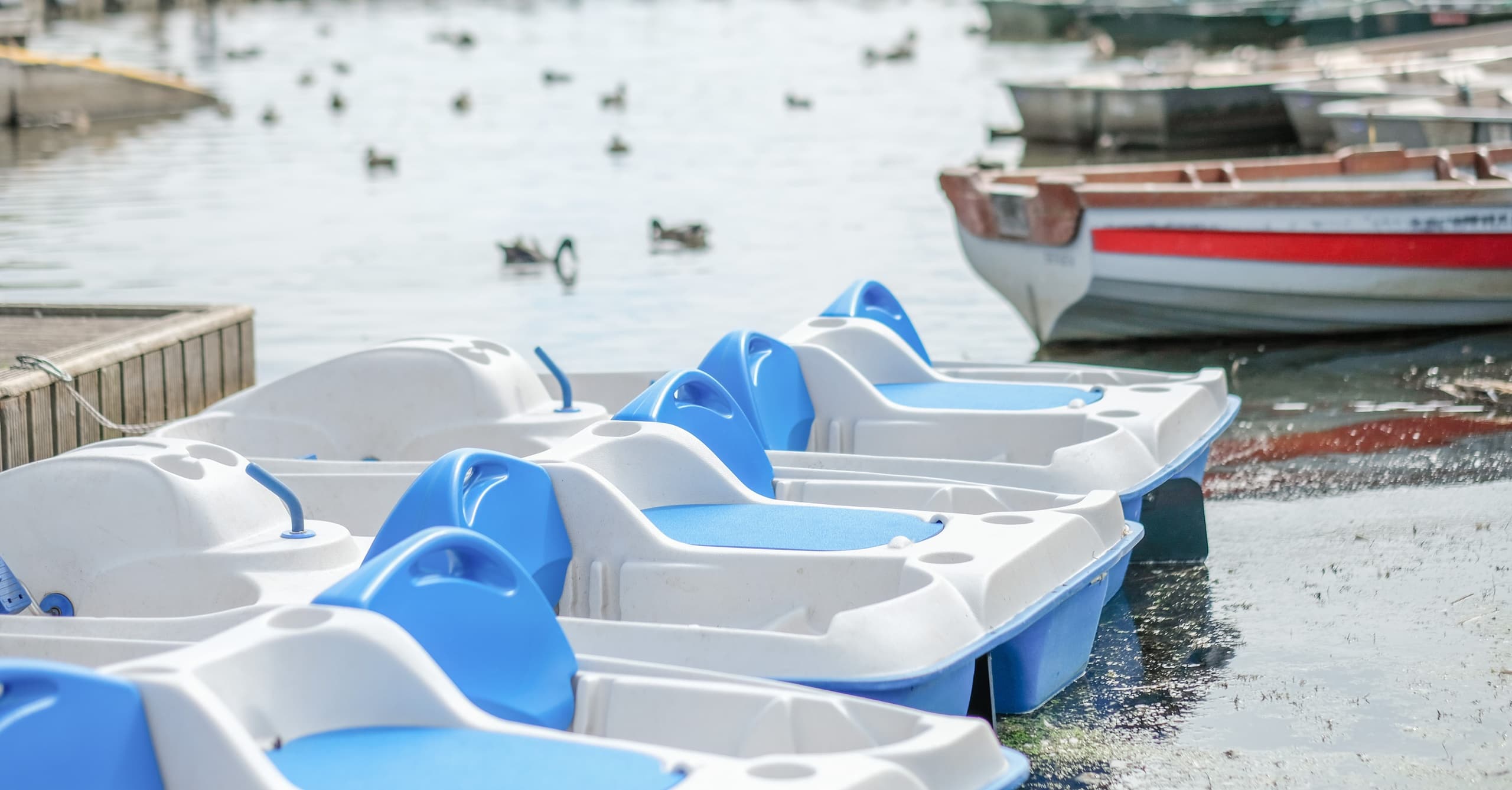Pedalo Adventures at Lakeside Caravan and Camping Park, Brecon