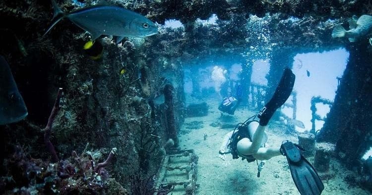 Dive Package 1: Always Diving & Water Sports in Cancún
