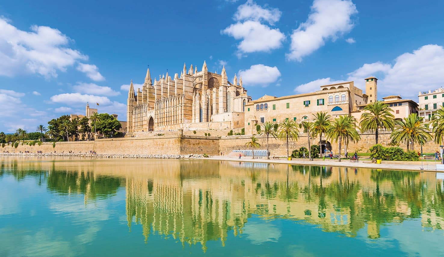 Land Adventures with Palma Guided Tour