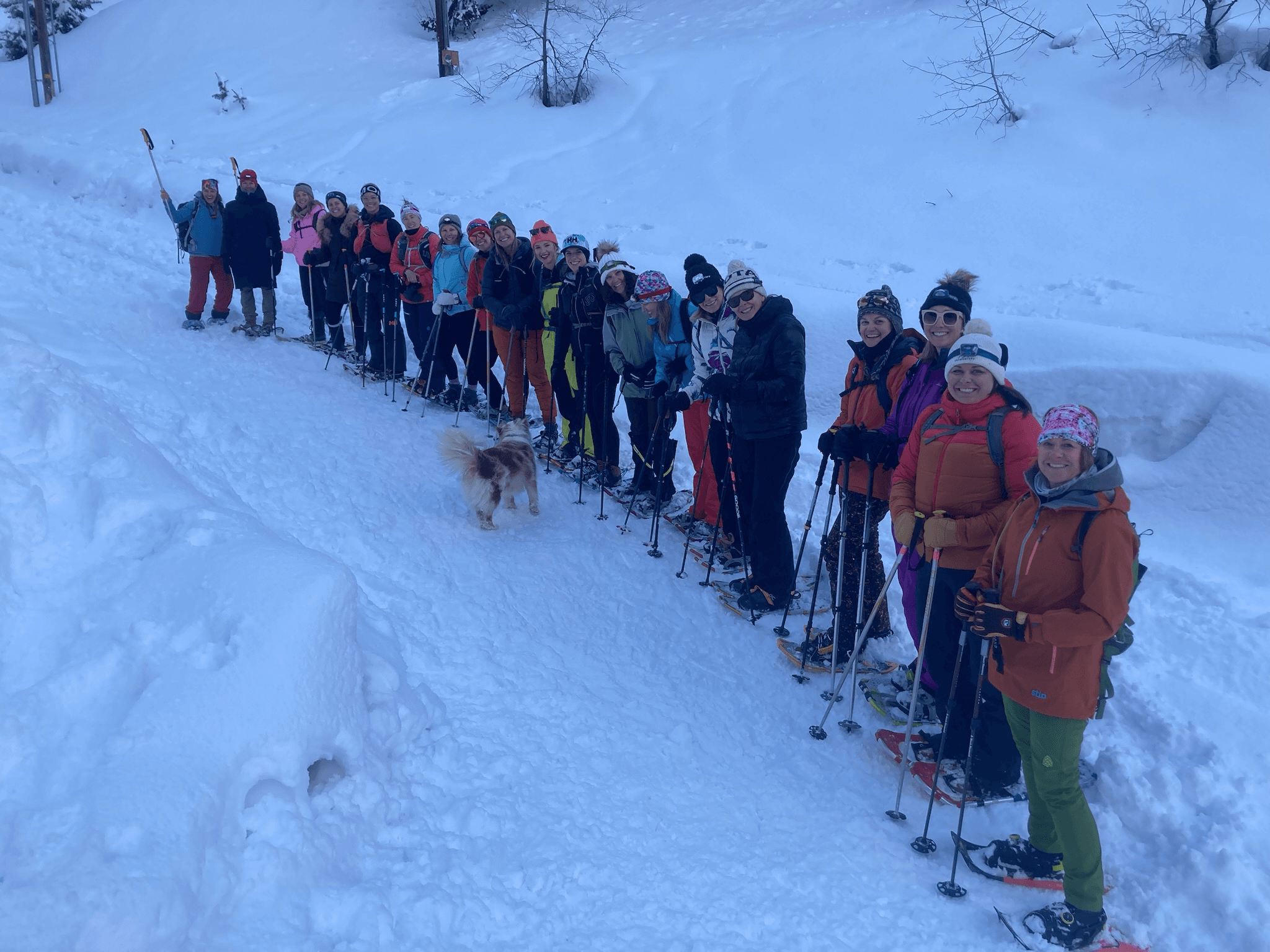 Full Moon Snowshoe Tour with Wasatch Women in Park City