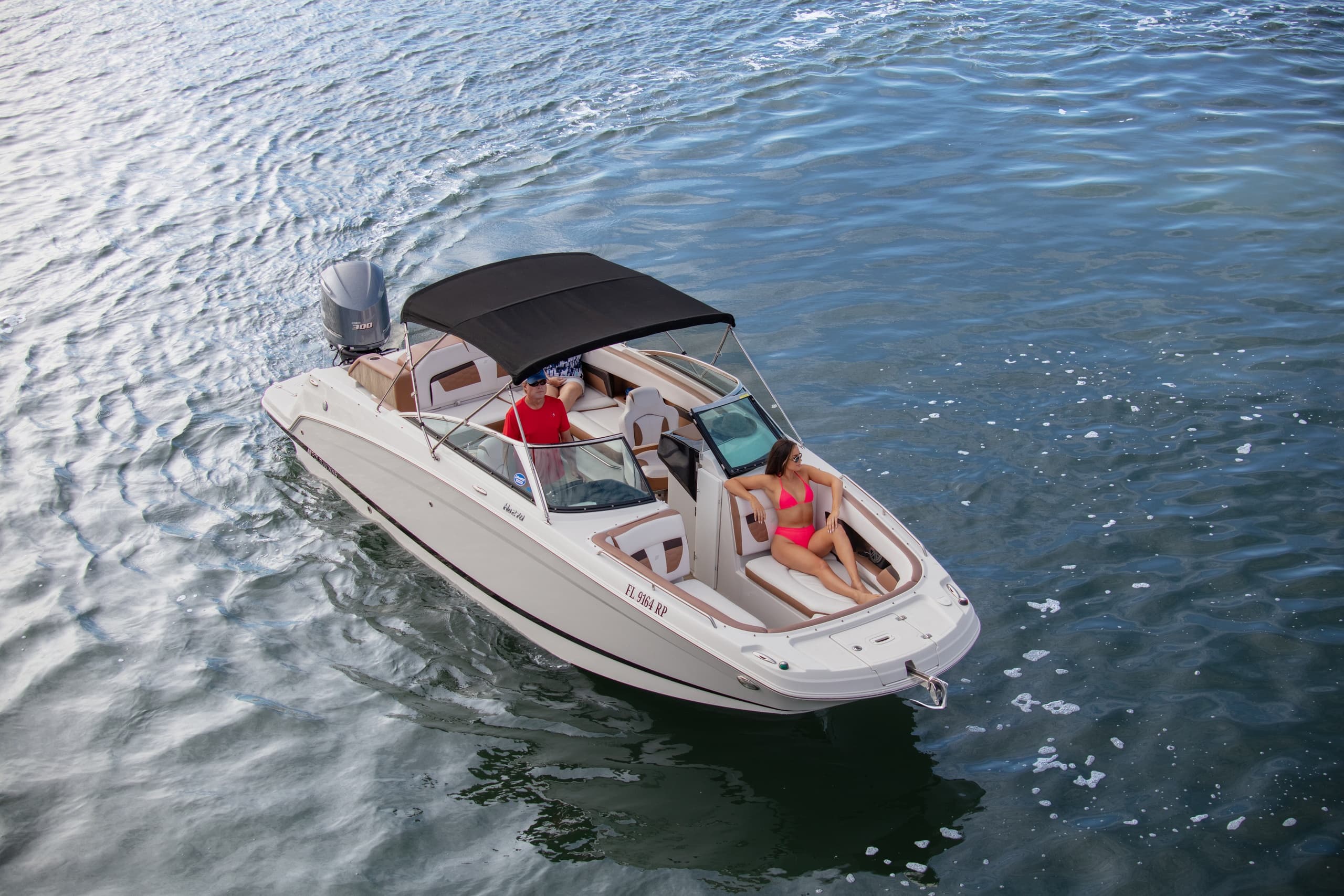 Private Boat Tours & Dolphin Watching in Clearwater