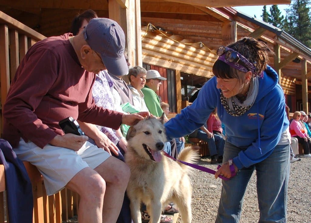Half Day Husky Tour with Denali Tour Company in Alaska