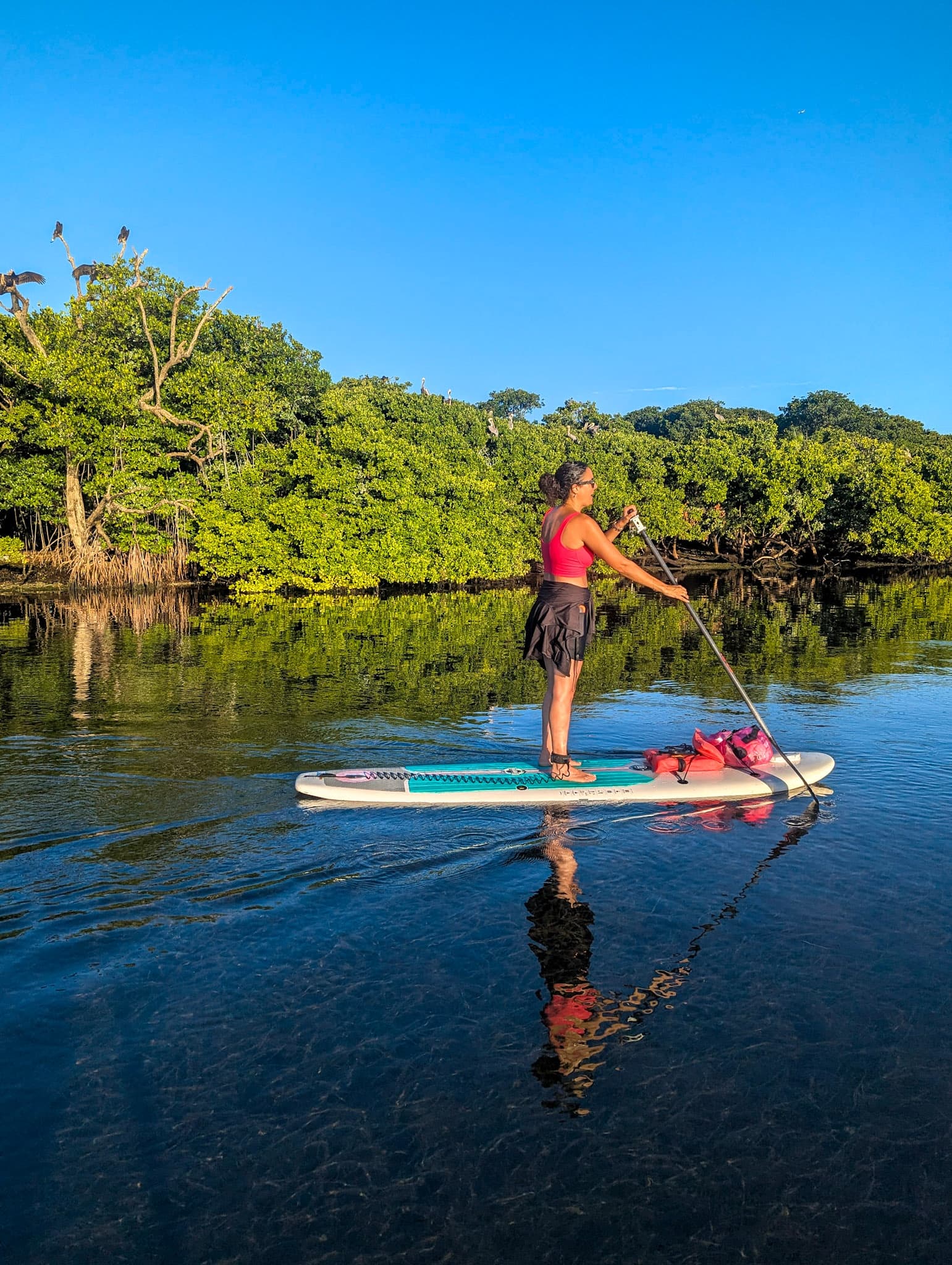 Stand-Up Paddleboarding in Biscayne Bay: PADL Rentals at Hobie Beach, Miami photo 2