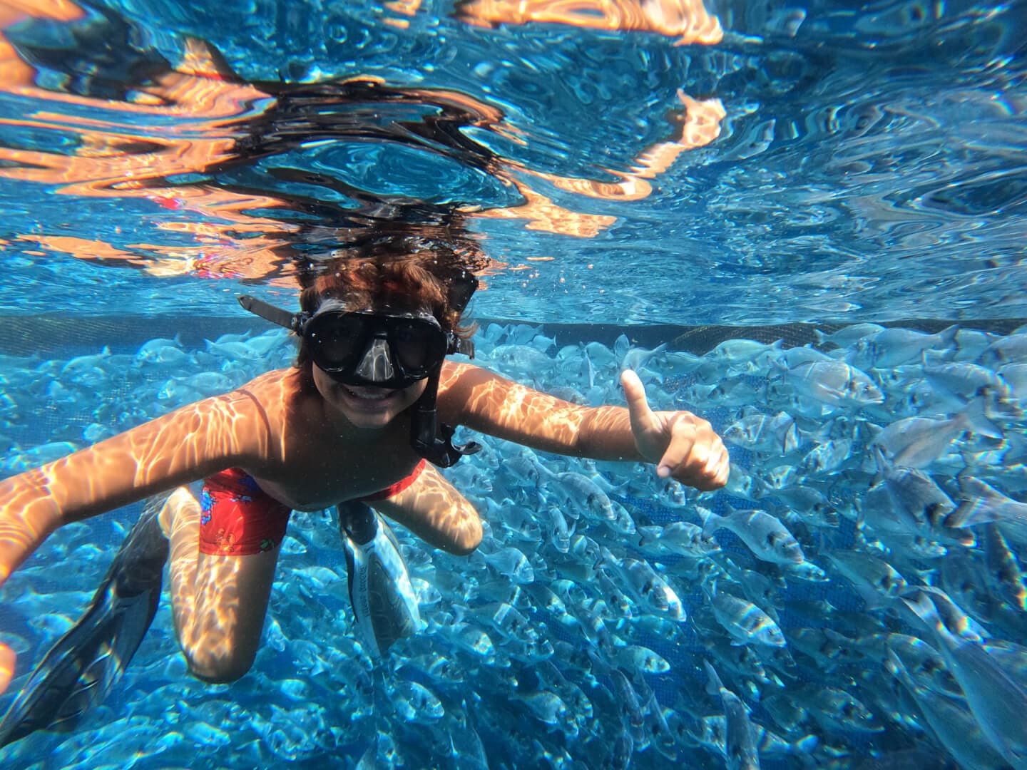 Snorkeler exploring clear Mediterranean waters off Rhodes coast