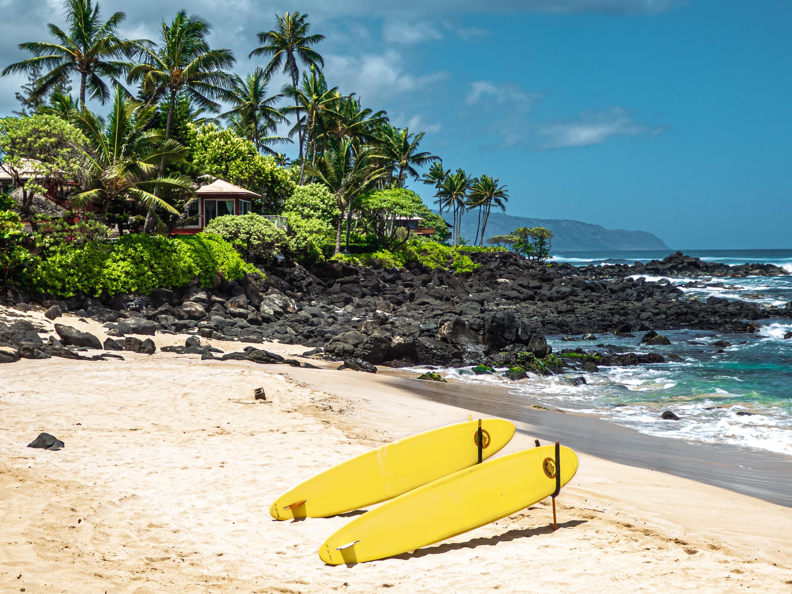 Explore O'ahu North Shore: Surf, Scenery & Local Flavors