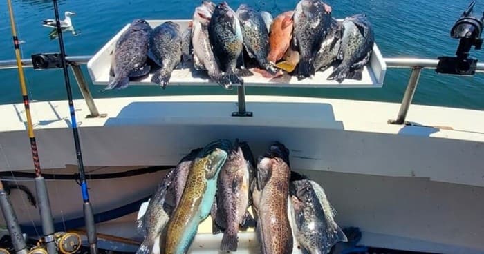 Near Shore Fishing with Santa Cruz Coastal Charters