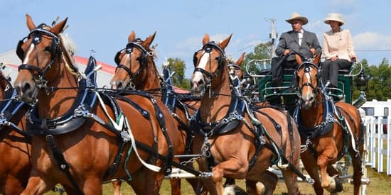 Lancaster Fair fleet