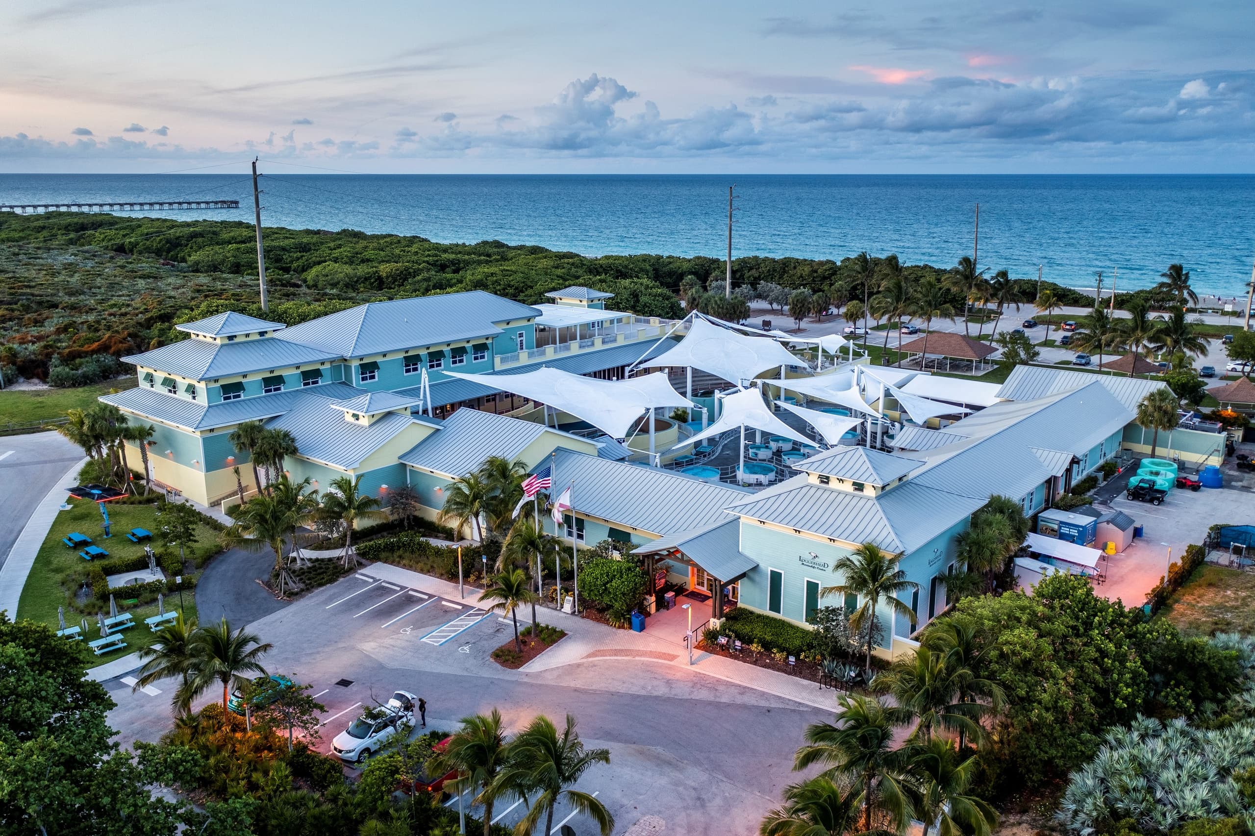 Wildlife & Nature Tour at Loggerhead Marinelife Center