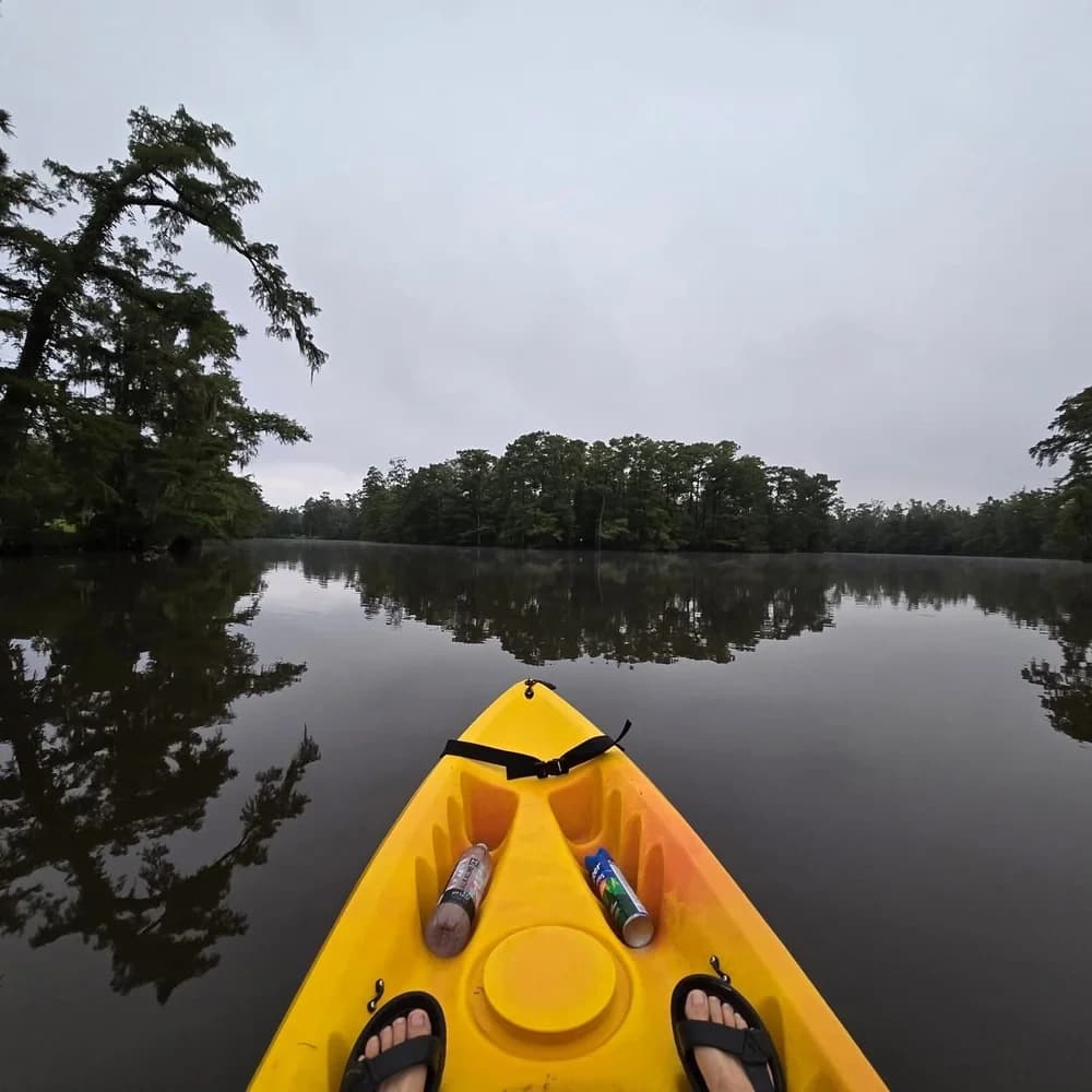 Paddle the Quiet Bayous — Half-Day Kayak Rentals at Bayou Glamping Co., Westlake LA