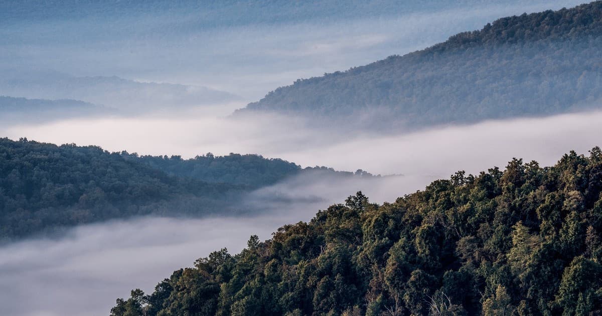 Aerial Adventure: Ozark Mountain Tour by YELL Aviation