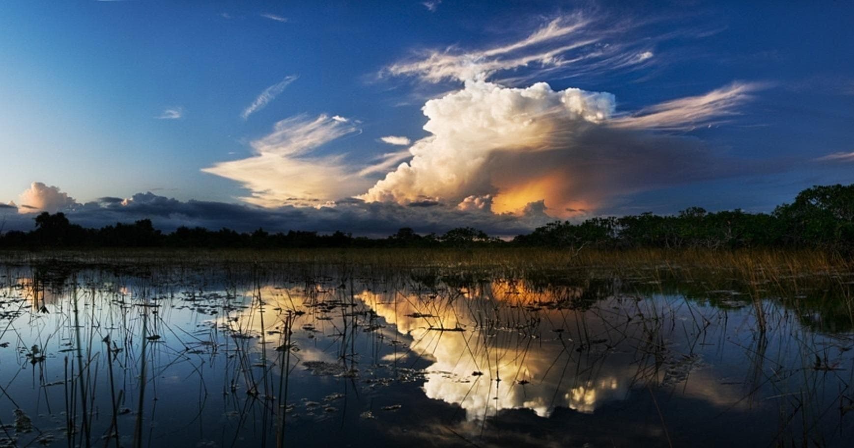 Night Airboat Adventure at Sawgrass Recreation Park, Weston
