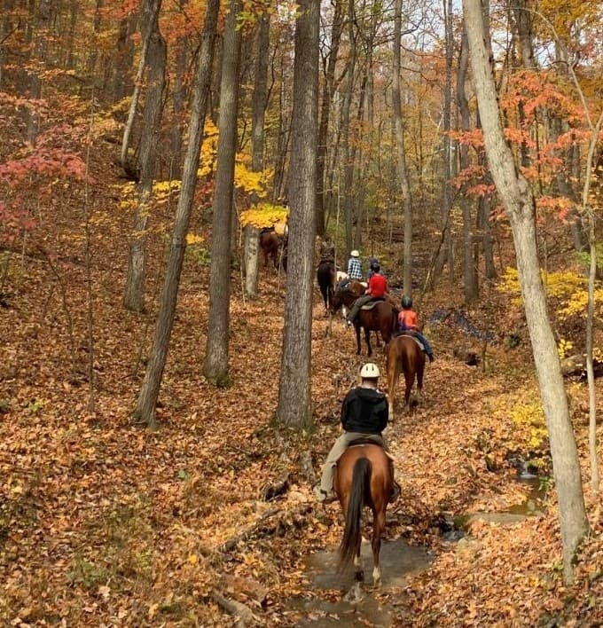 Slow Ride Through Shenandoah: 1.5-Hour Guided Trail Ride in Fort Valley