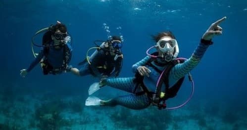 Last Dives: Complete Your Open Water Examination in Newington, CT