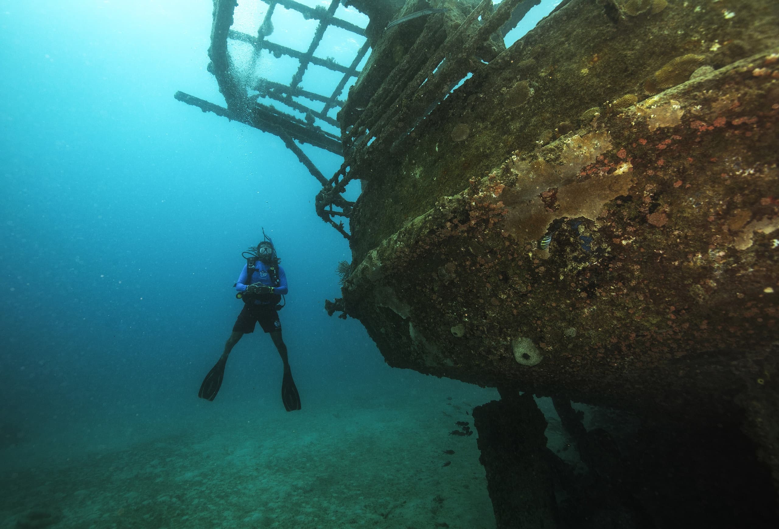 Ten-Dive Intensive: 5 Trips | 10 Dives from Key Largo Reefs photo 2