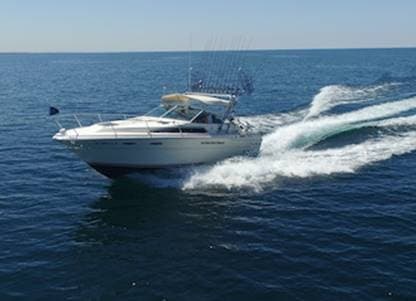 Lake Michigan Fishing Trips with Best Chance Too