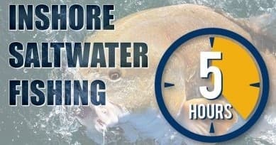 Gulfport Inshore Fishing: 5-Hour Light-Tackle Charter for Reefs & Nearshore Bites