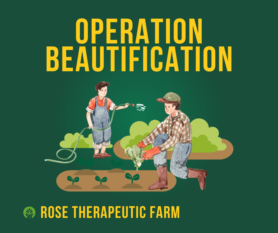 Volunteer for Operation Beautification in Brookshire, Texas
