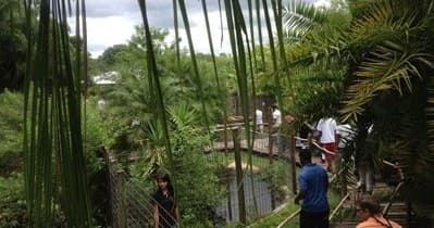 Guided Reptile Tours at Croc Encounters in Tampa