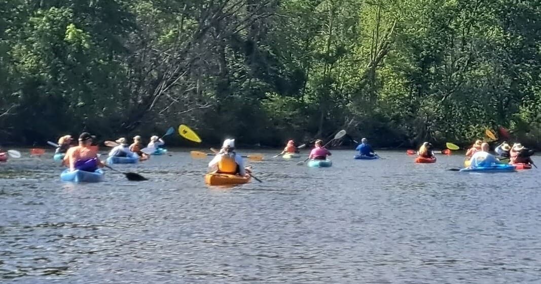 Recreational kayakers navigating slow river channel under summer trees