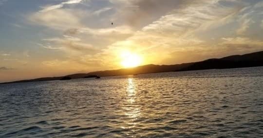Day in The Cay Sandbar Adventure in La Parguera, Puerto Rico