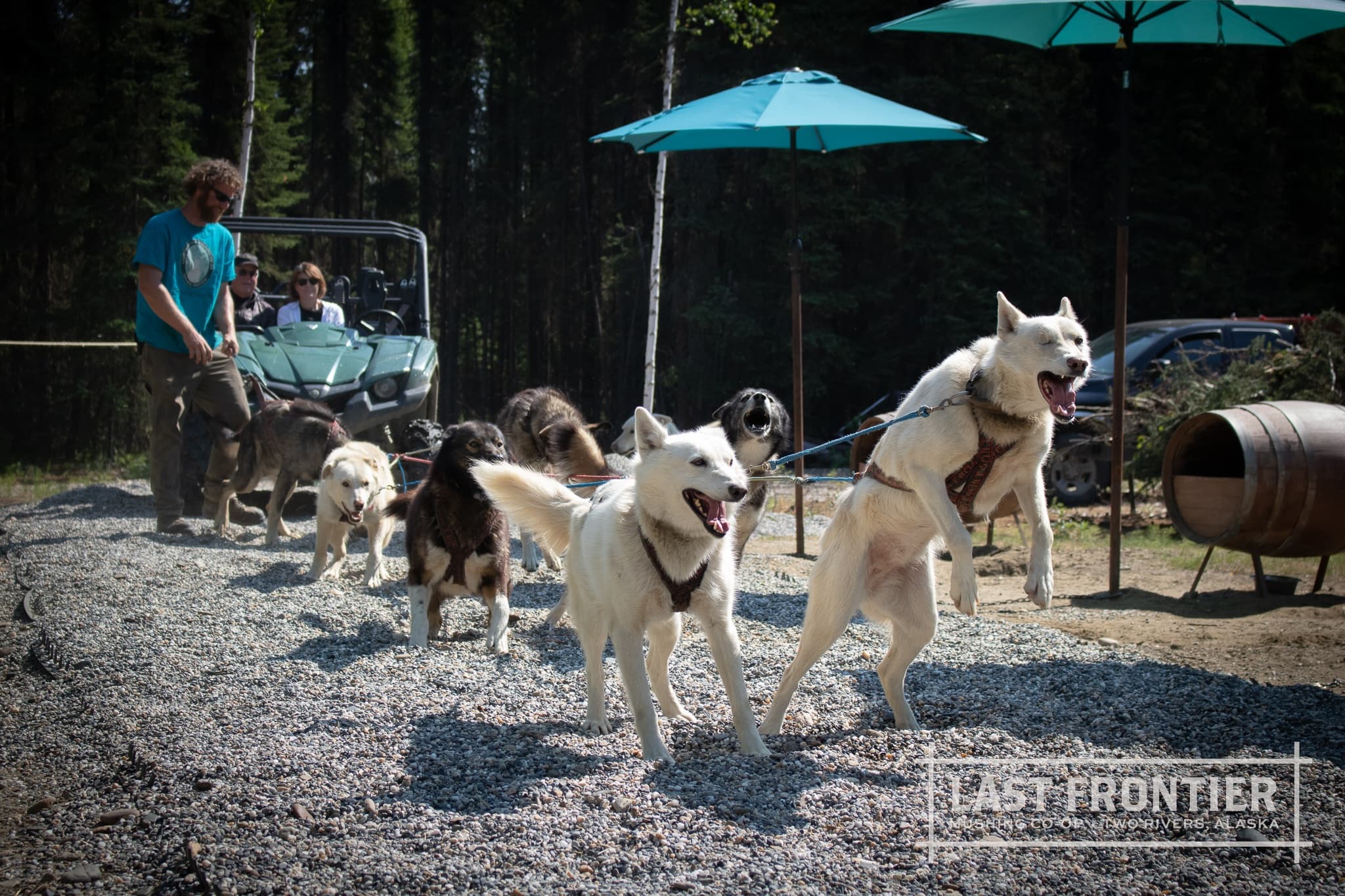 Summer Kennel Tour & Mushing Demo in Fairbanks, Alaska