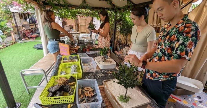 Craft Your Own Mini Zen Garden Workshop in Singapore’s Secret Rooftop Oasis