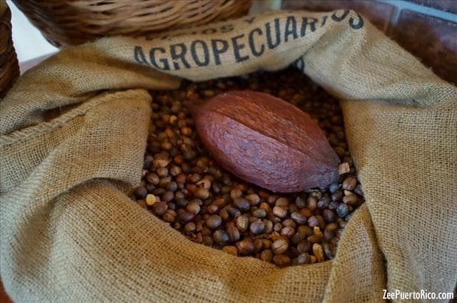 Puerto Rican Coffee Private Tour | Guided Tour in San Juan | History Tour, Food Tour, Farm, Walking Tour