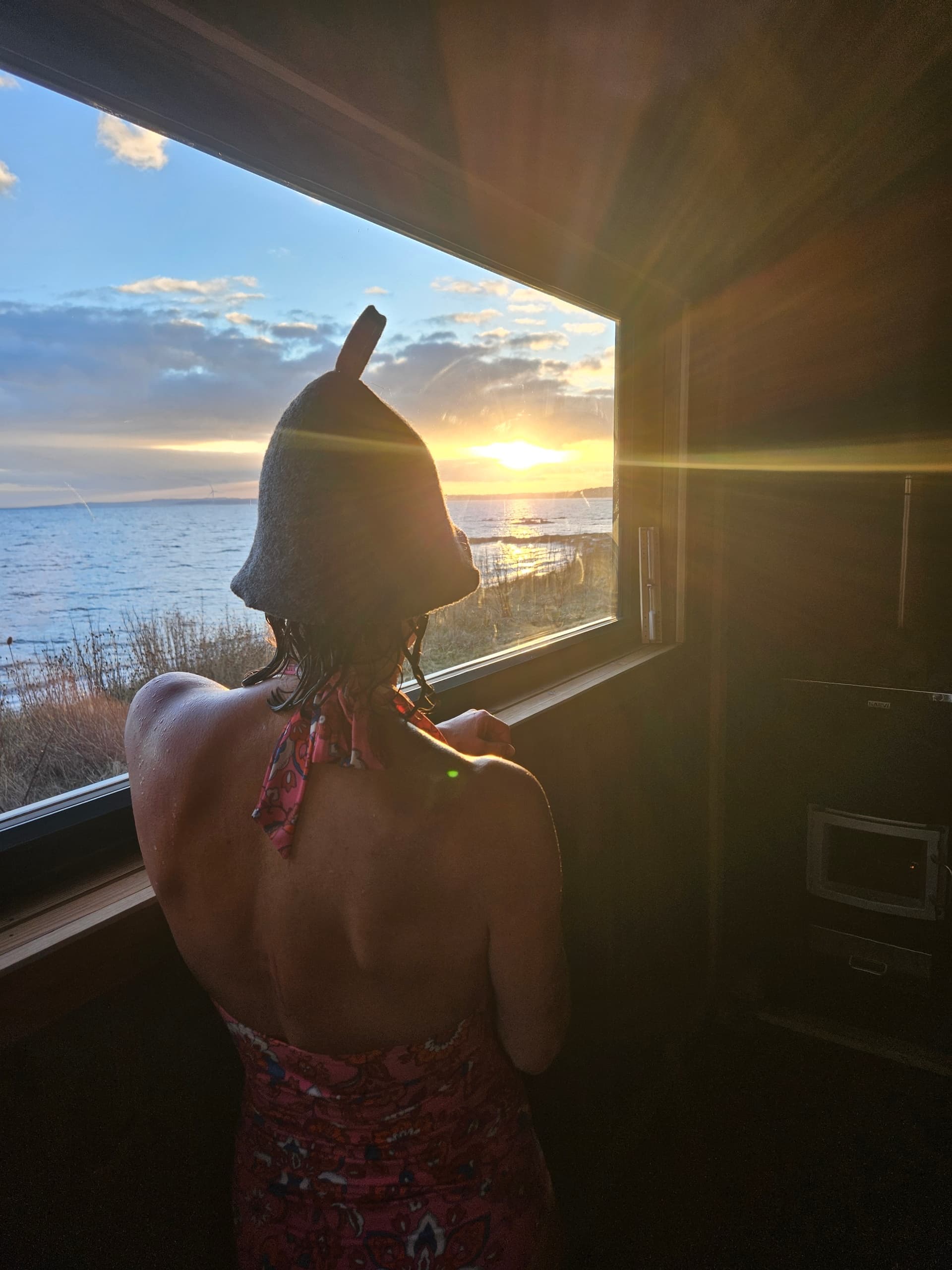 Person in sauna looking through window at coastal sunset view
