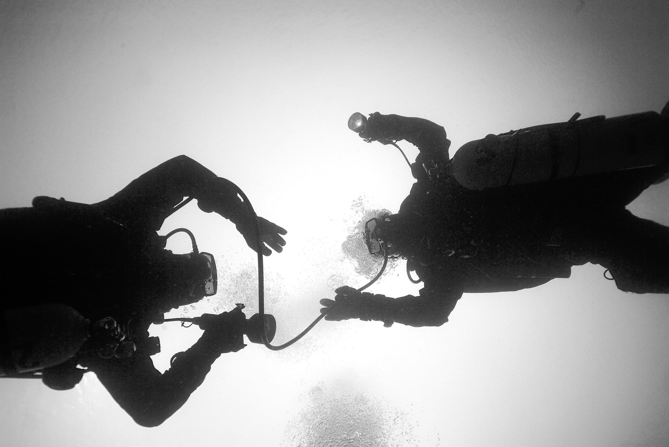 Advanced Diving Skills with Paragon Diving in Big Pine Key
