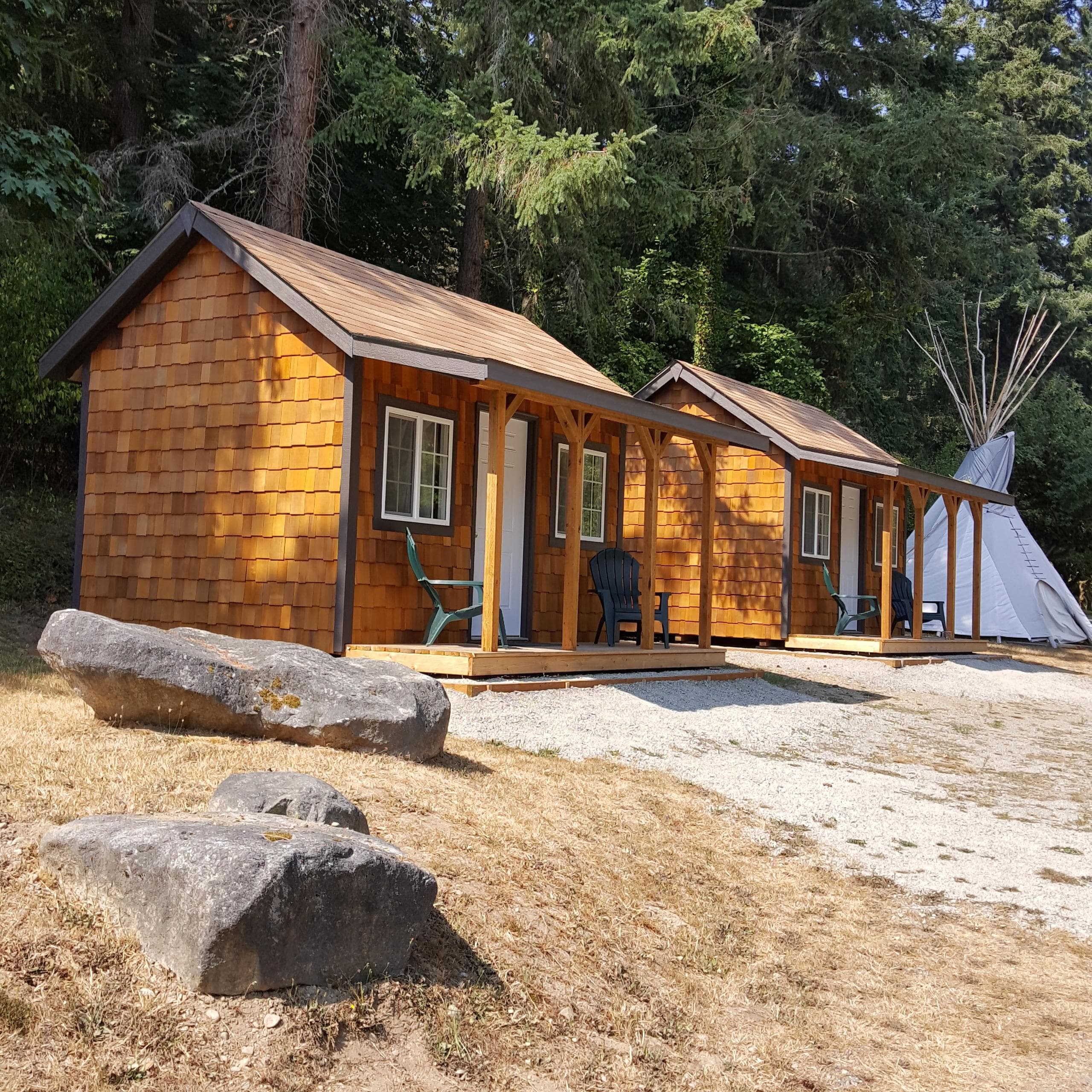 Wooden guest cabins and teepee by forest edge at ranch glamping
