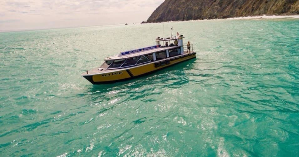 Catalina Adventure Tours fleet