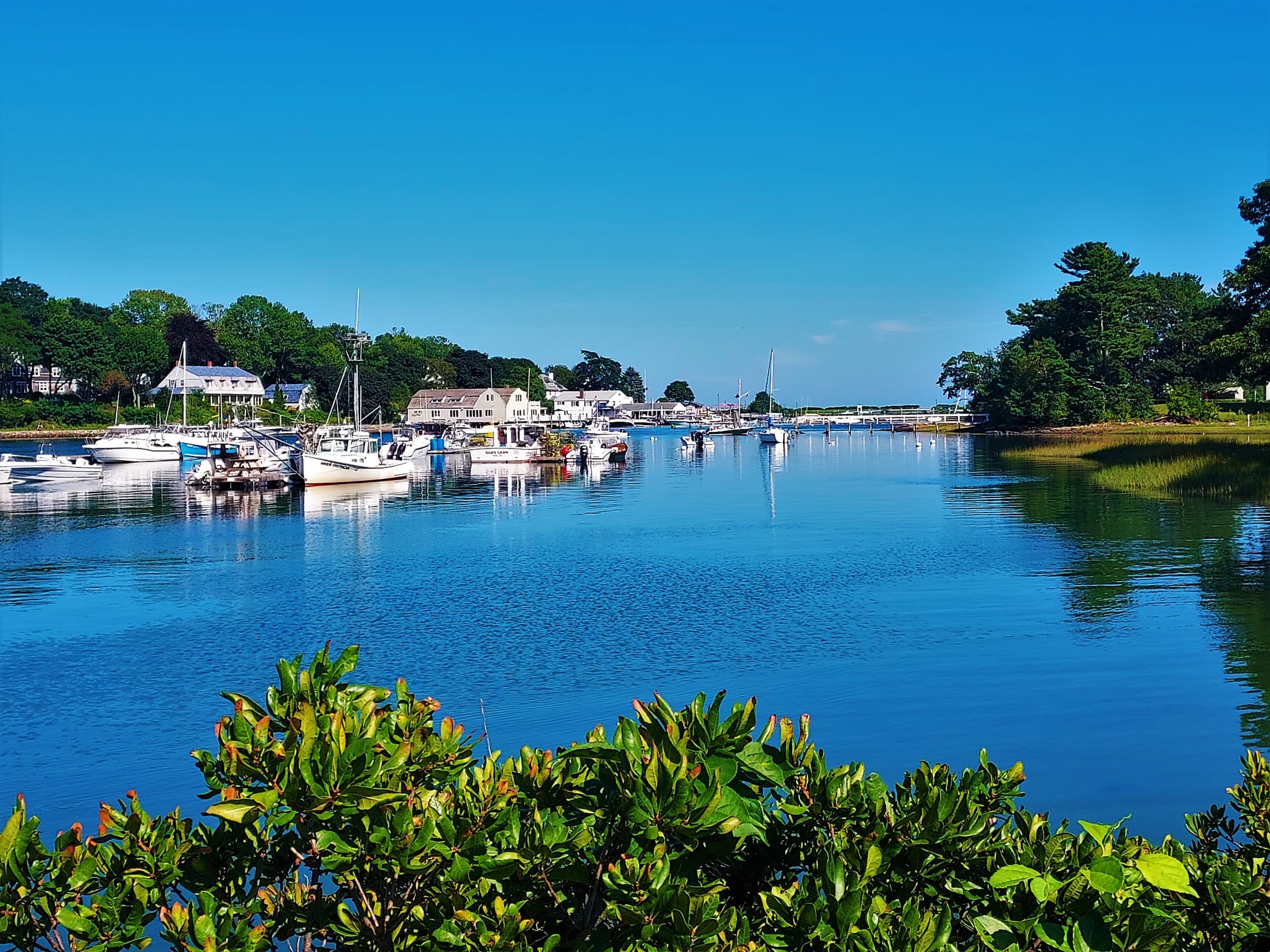 Quiet coastal marina with boats and waterfront village view