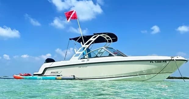 Half Day Boston Whaler Charter in Key West, FL