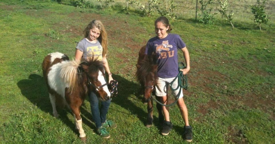 Kids walking a small pony across grassy Maui farm pasture