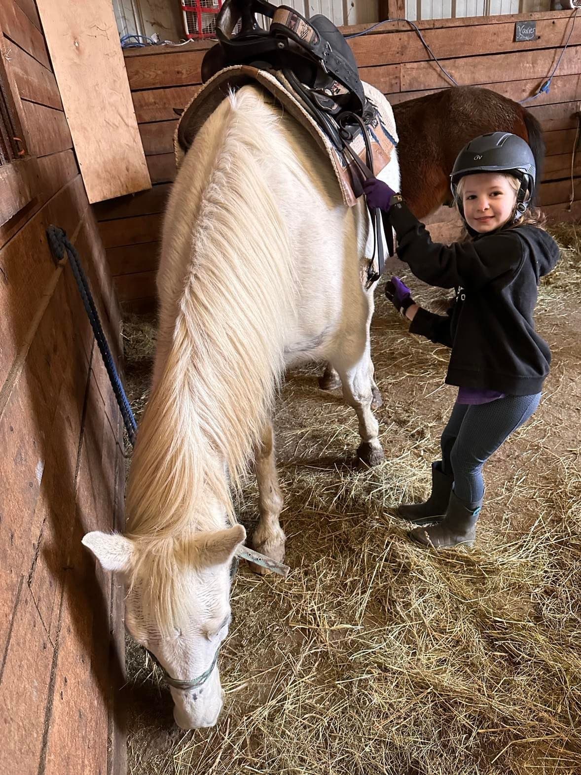 Riding Lessons at Juckas Riding Stables in [Location]