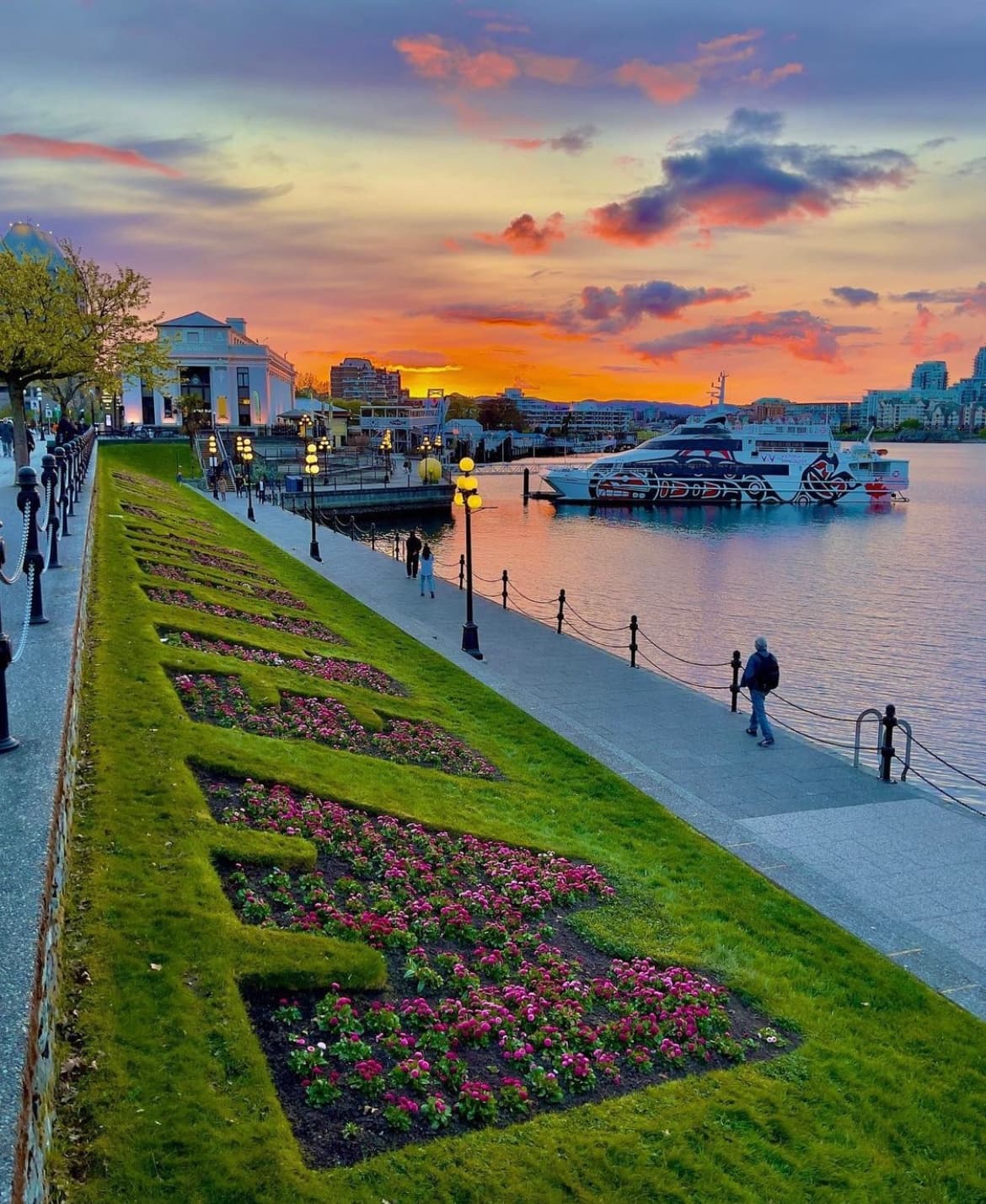 Explore Victoria’s Best Family Bike Tour: 2.5 Hours of Scenic Fun and Adventure