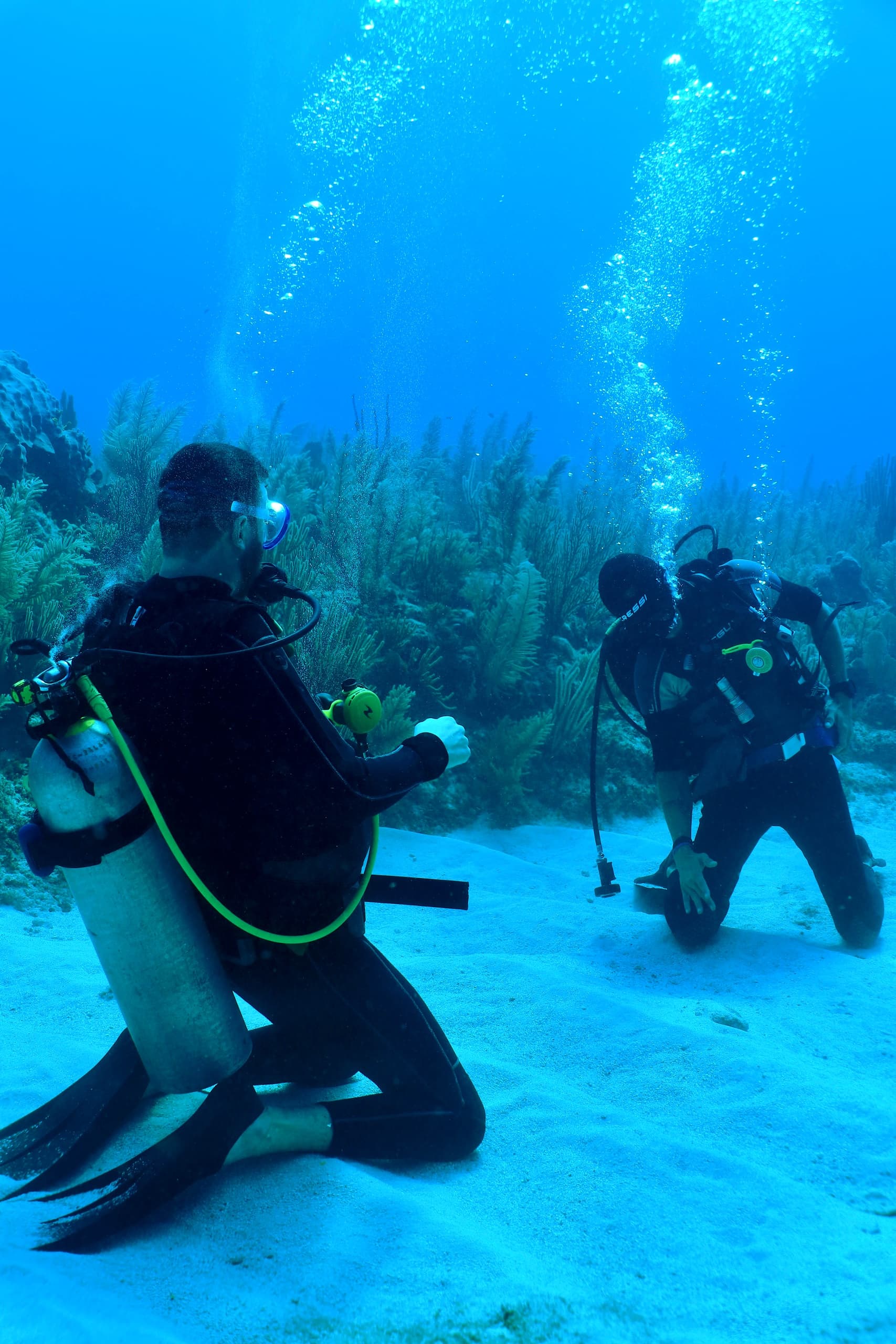 PADI Open Water Course with Mexidivers Tulum