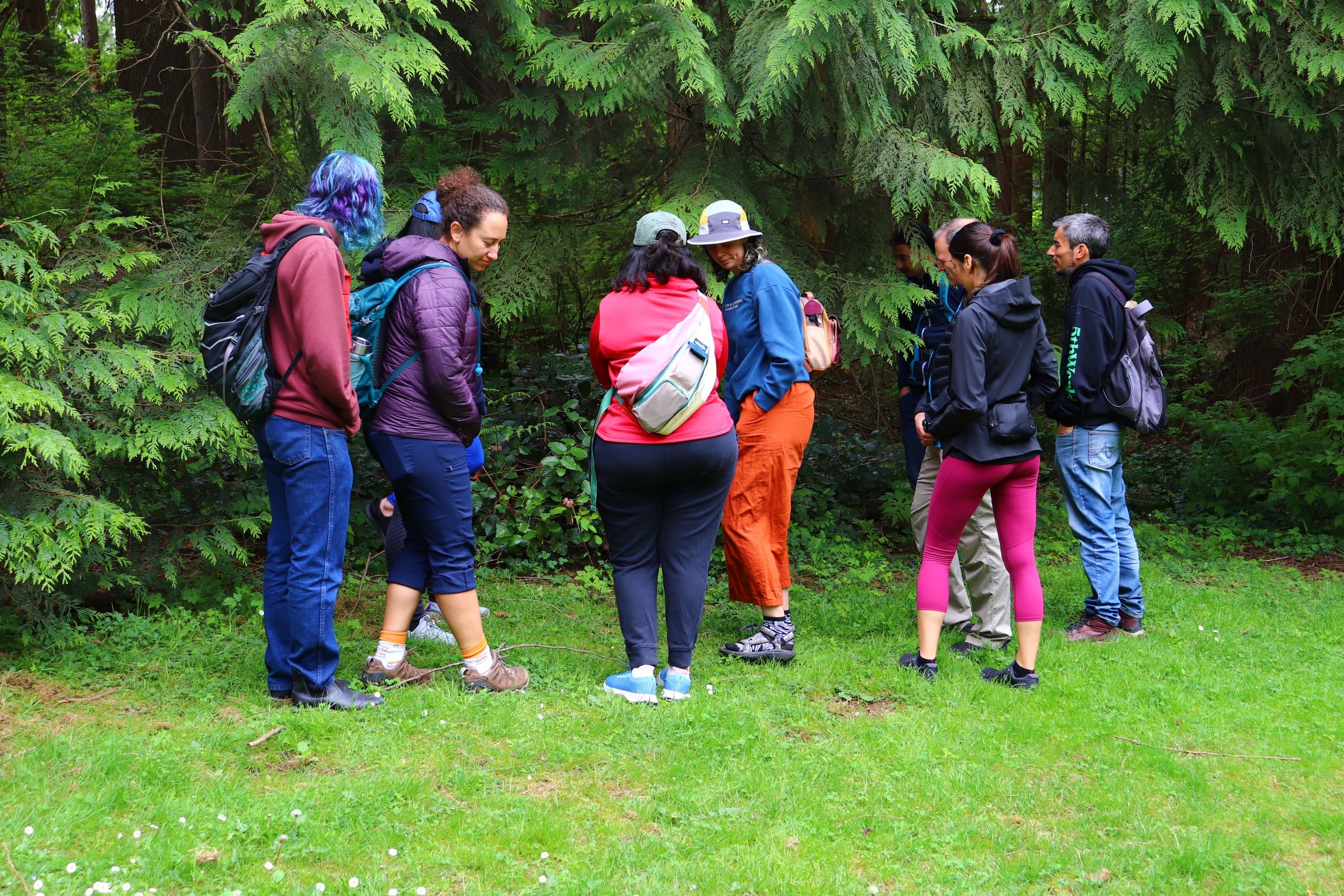 Plant Identification Workshops in Langley & Surrey, BC — Foraging Basics and Safe Harvesting