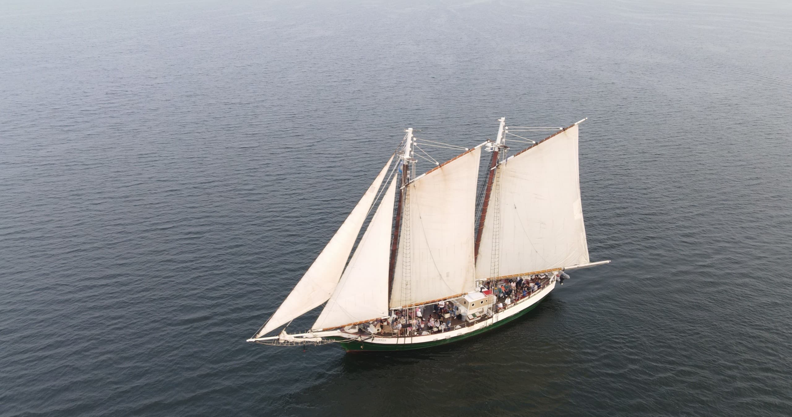 Sunset Sail on the Liberty Clipper: Tall Ships, Marine Life & NYC Skyline photo 2