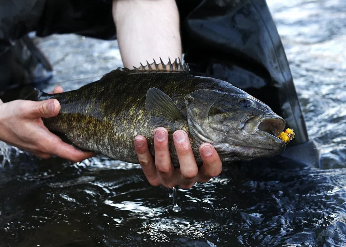 Water Activities & Precision Fly and Tackle in Harrisburg