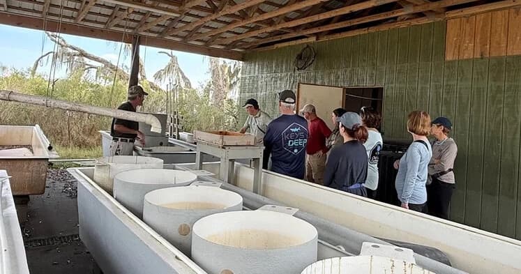 Inside an Oyster Farm: Group Farm Tour in Seabrook, South Carolina photo 1